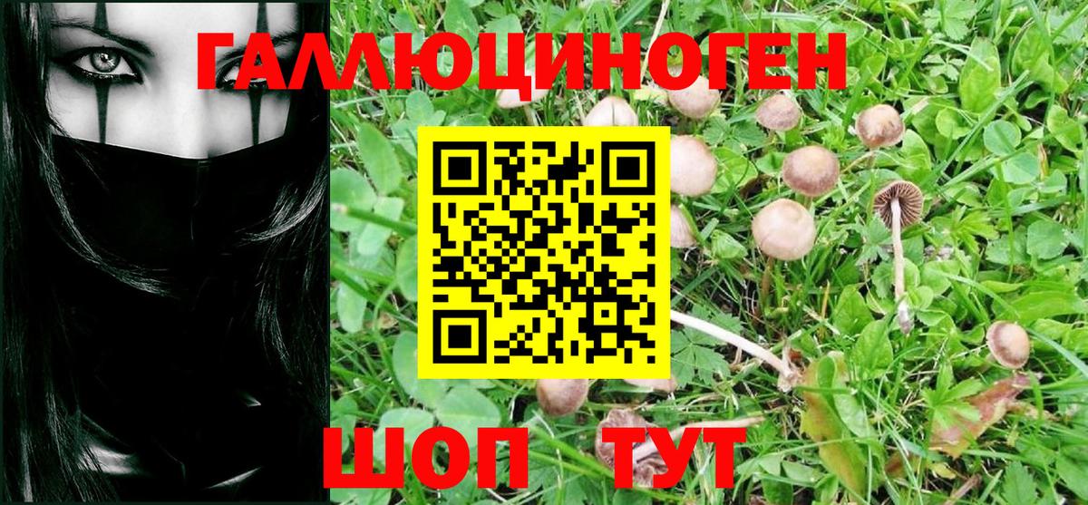 Луховицы  Галлюциногенные грибы мицелий  Вход с VPN 