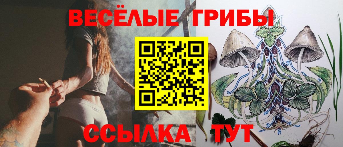 продажа наркотиков  Луховицы  Псилоцибиновые грибы Cubensis 