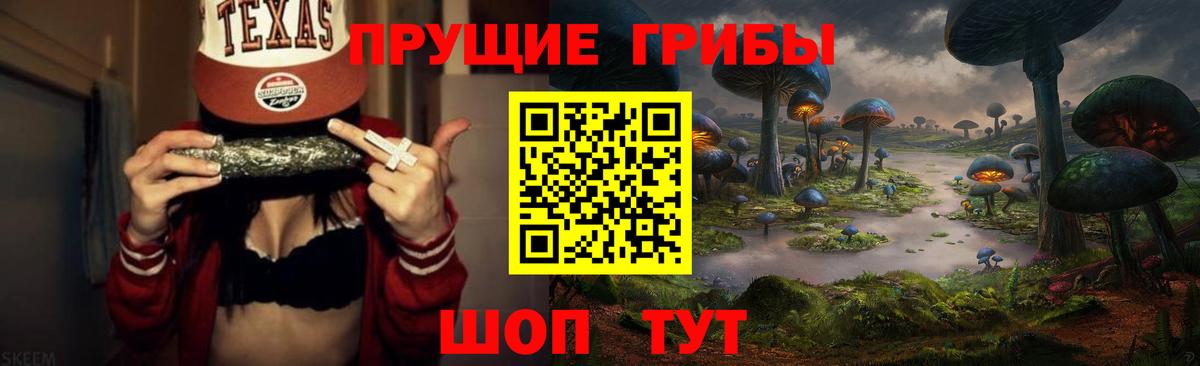 Псилоцибиновые грибы Psilocybine cubensis Луховицы